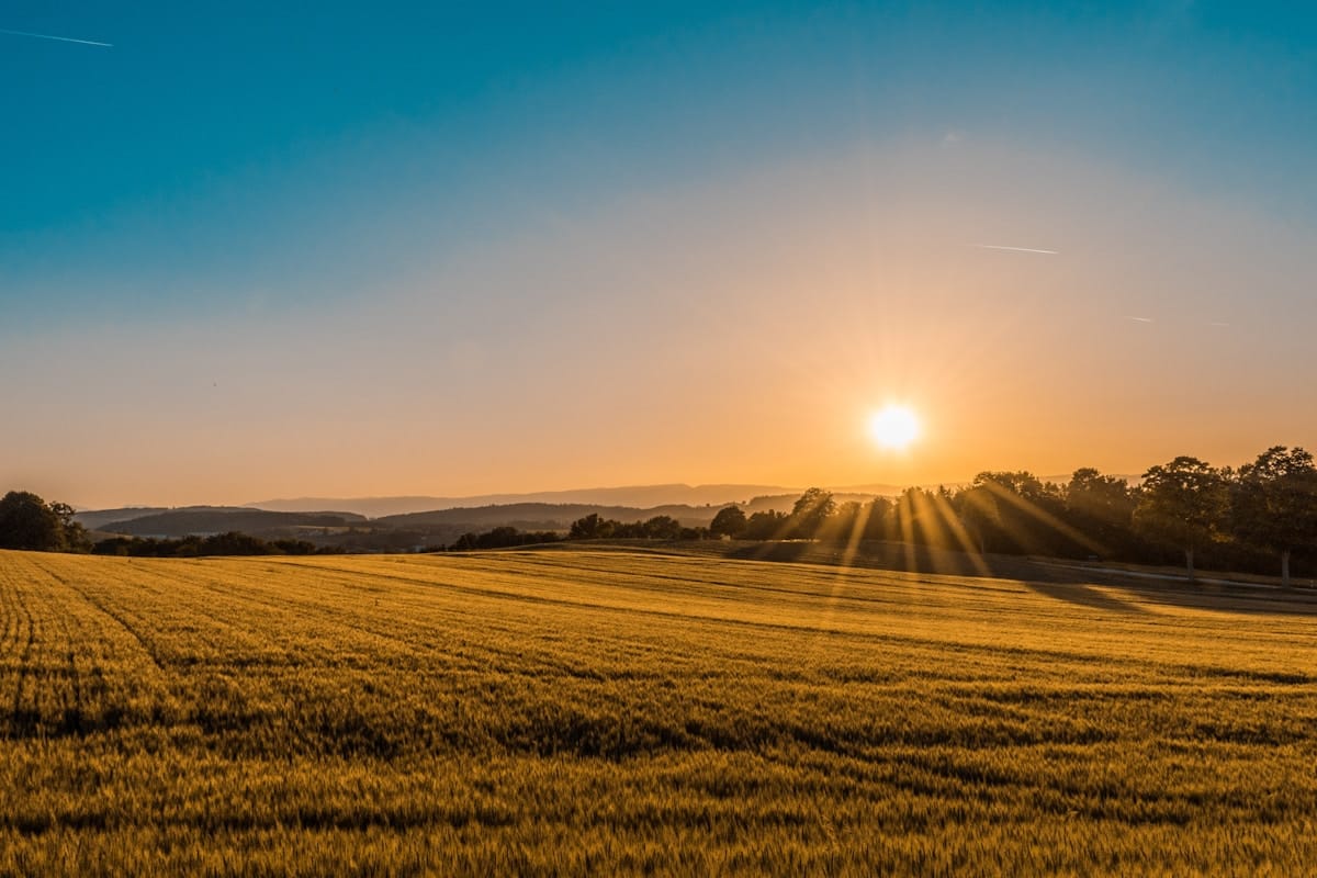 Sunset Over Field