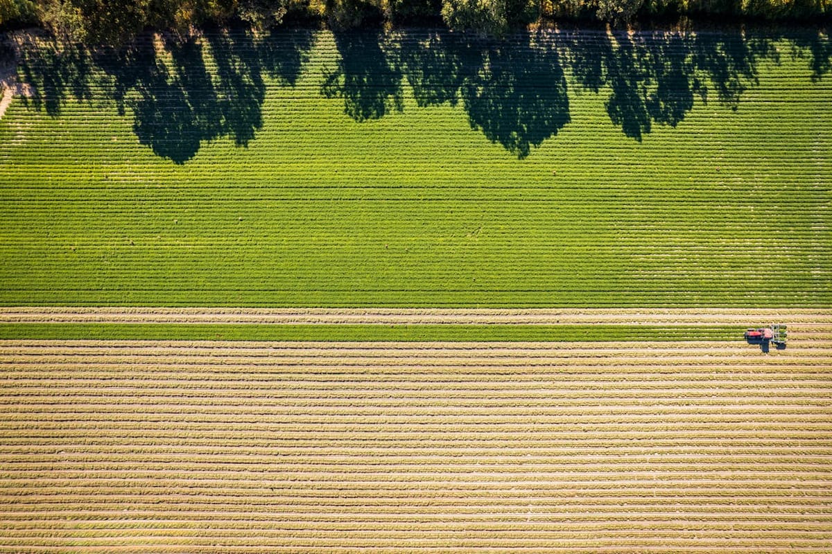 Aerial Farm Field