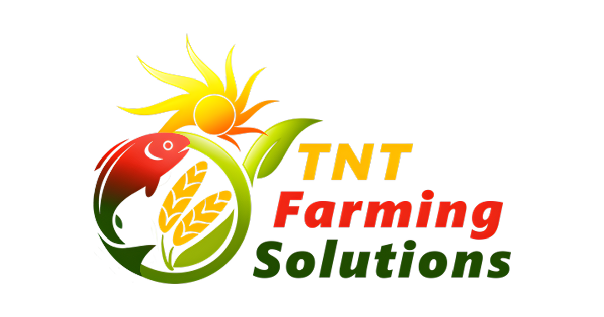 TNT 2025 Trial Results
